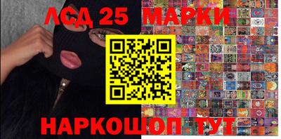 крисы Моздок