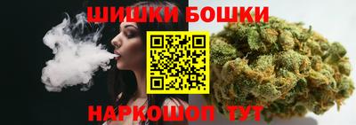крисы Моздок