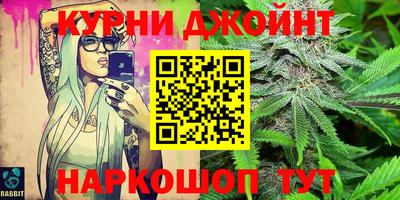 крисы Моздок