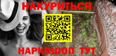 крисы Моздок