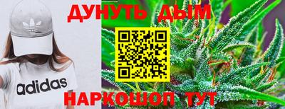 шишки Можайск